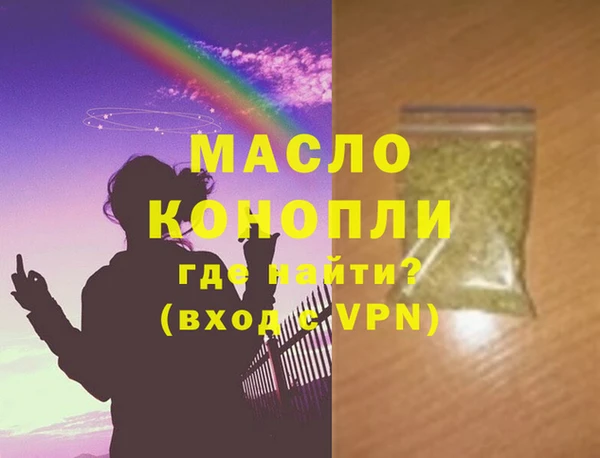 индика Вяземский