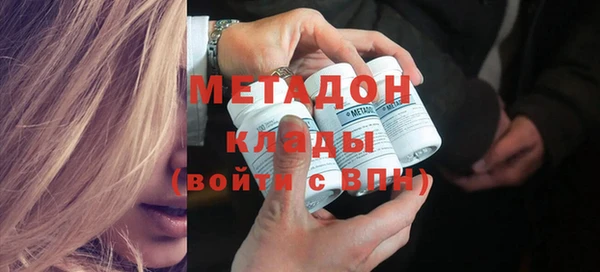 индика Вяземский