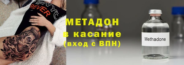 индика Вяземский