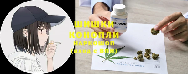 индика Вяземский