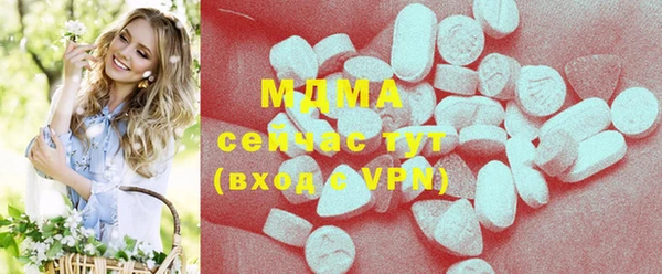 индика Вяземский