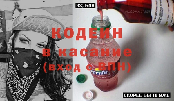 индика Вяземский