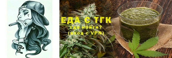 индика Вяземский