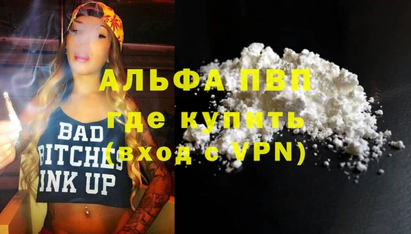 индика Вяземский
