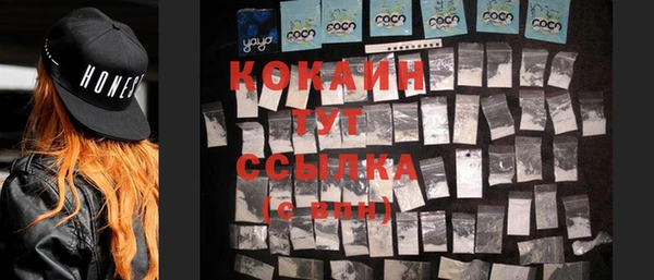 индика Вяземский