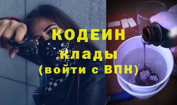 индика Вяземский