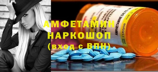 индика Вяземский