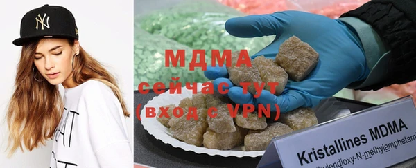 индика Вяземский