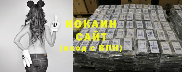 индика Вяземский